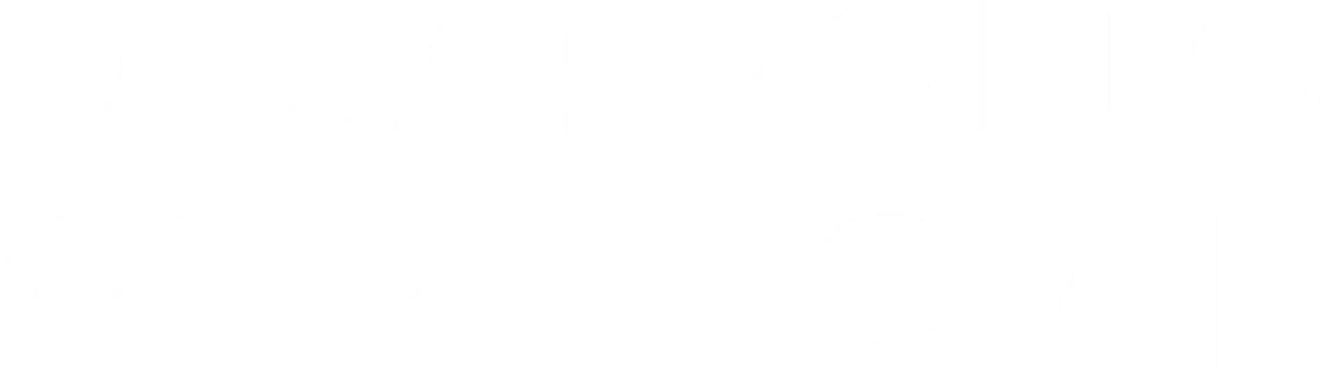 desarrollo gerencial blanco